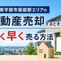 画像241